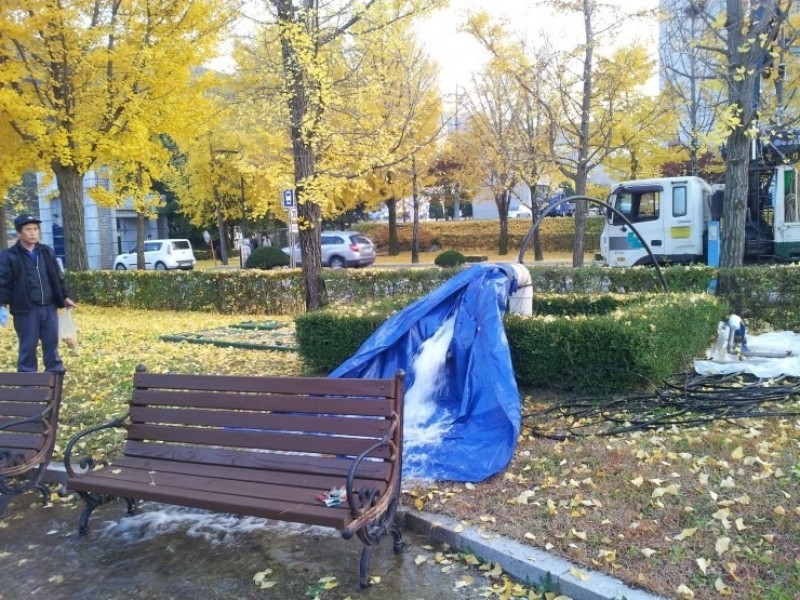 사후관리_써징사진