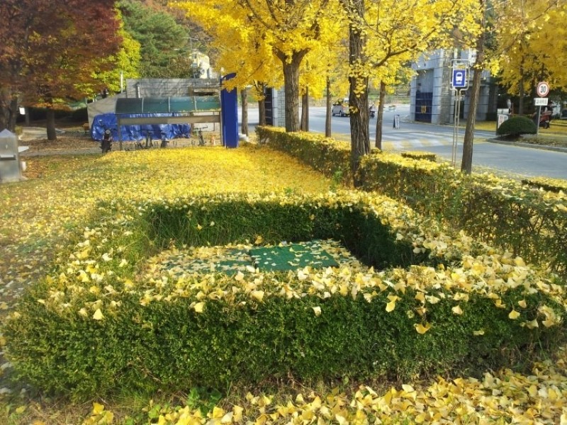 사후관리배경사진